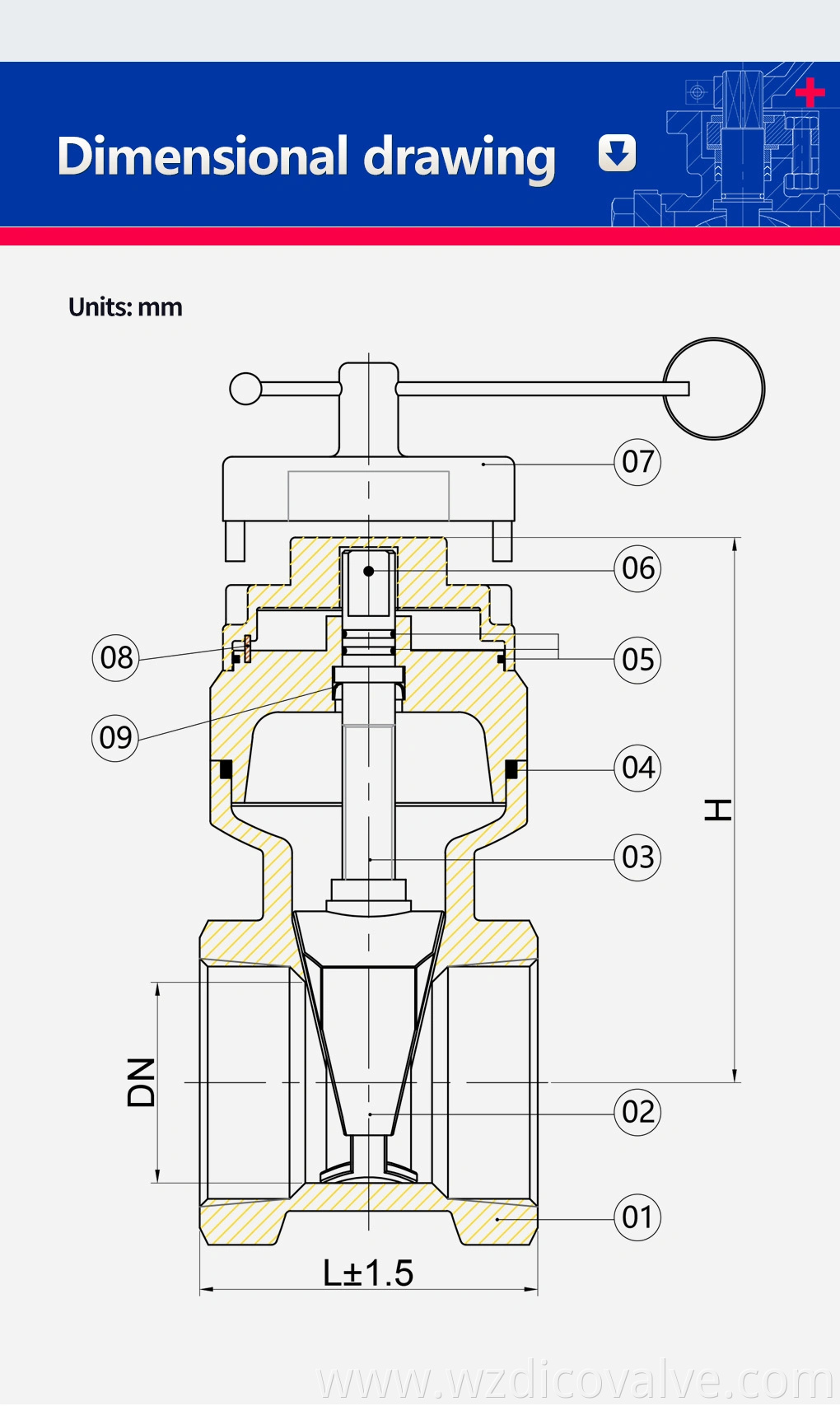 Fabricante de la válvula de Wenzhou Fabricante de acero inoxidable Tornillo de acero Lock Válvula de compuerta industrial